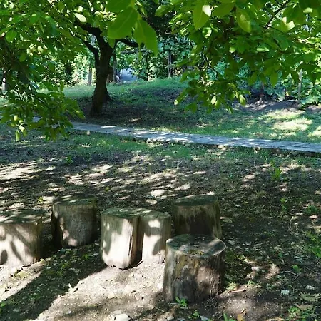 The In The Trees *