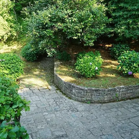 بيت للعطل The In The Trees