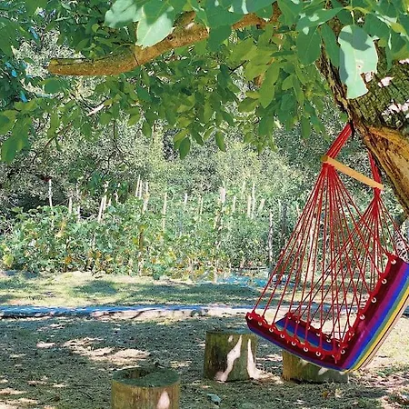 The In The Trees تساغارادا