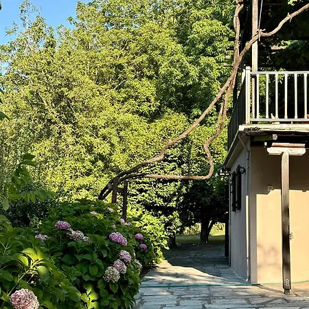 Hébergement de vacances The In The Trees *