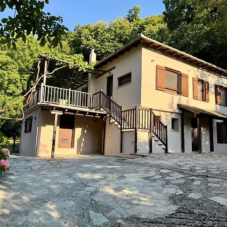 בית נופש The In The Trees טסגרדה