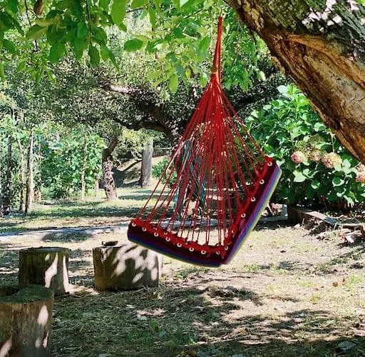 The In The Trees * טסגרדה