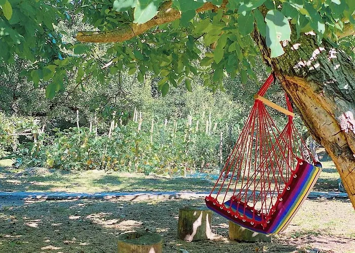 The In The Trees טסגרדה