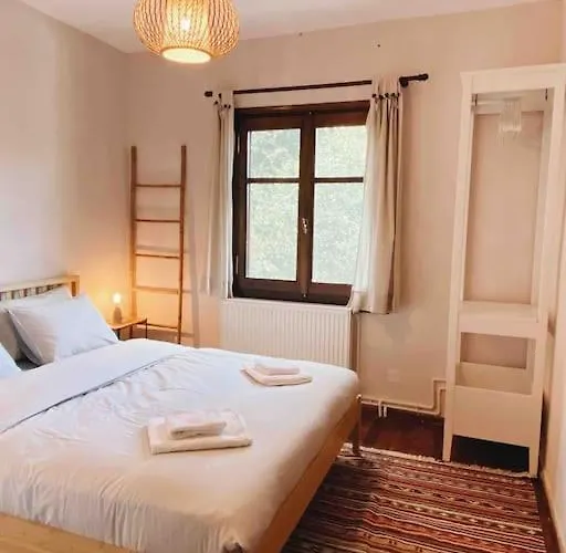 The In The Trees * טסגרדה