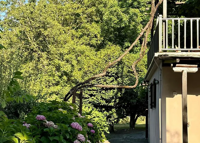 בית נופש The In The Trees *