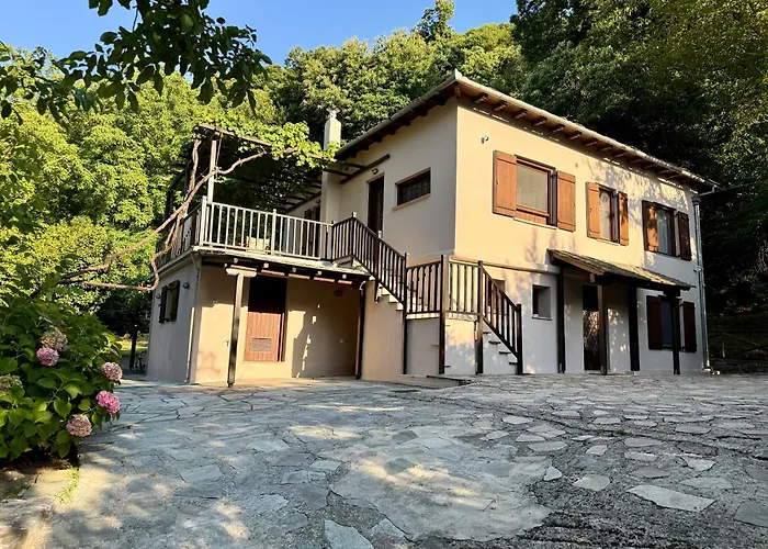 בית נופש The In The Trees טסגרדה